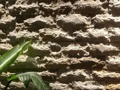 -七欣天(上海淮海路新尚广场店)