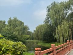 -北坞公园
