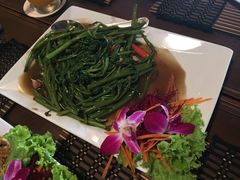 -Daddy Nimman Chiang Mai