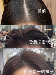 -苑苑发型设计