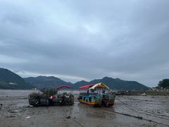-北岐滩涂