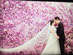 点击看大图 -太郎花子婚纱摄影艺术中心