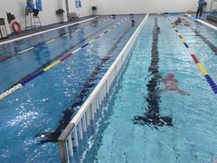 -奥体中心游泳馆