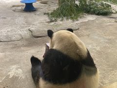 -杭州野生动物世界