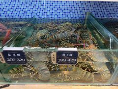 -欧记·龙城港(欣都店)