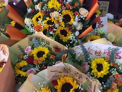 -花鸟鱼虫鲜花绿植市场(玉泉路店)