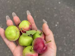 -崂山九水游览区