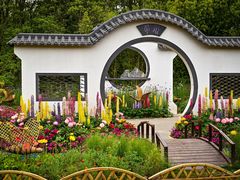 -上海共青森林公园