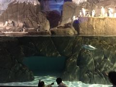 -成都浩海立方海洋公园