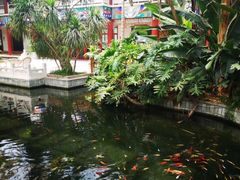 -寿山福海养老服务中心(石景山院)