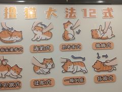 -有喵·猫咖·狗咖·30几只猫10只小狗(岗厦店)