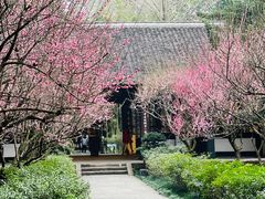 -成都杜甫草堂博物馆