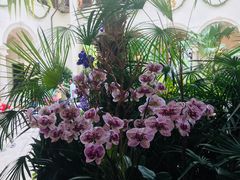 -维兹卡亚博物馆及花园