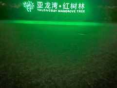 -三亚亚龙湾红树林度假酒店