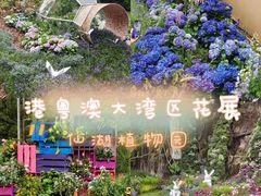 -深圳市中科院仙湖植物园