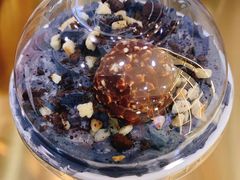 -舍予茶(桂林路店)