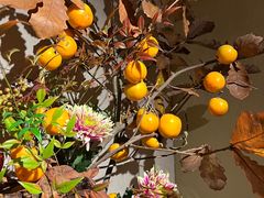 -希望日本料理(保利香槟花园店)