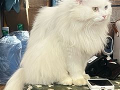 -小时光咖啡馆(开森度假森林店)