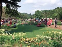 -深圳仙湖植物园-停车场