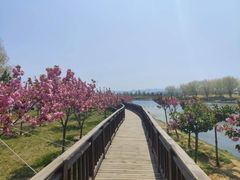 -羊亭河湿地公园