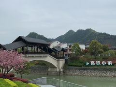 -宝荣鱼馆·临湖之宴(千岛湖店)