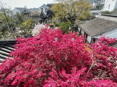 -苏州冶园园林民宿(太湖西山风景区店)