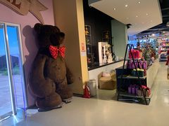 -济州岛泰迪熊博物馆