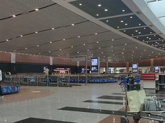 -开罗国际机场