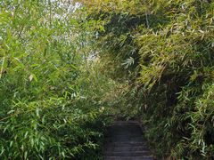 -句容茅山景区