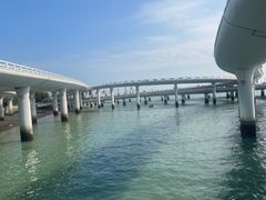 -演武大桥观景平台