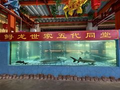 -年辉渔村·非遗传承餐厅(新丰江店)