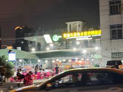 -霞姐屯昌枫木香草鸭店(海螺店)
