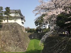 -名古屋城