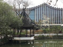 -上海醉白池公园