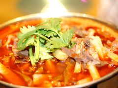 红汤羊杂-蒙料·手把肉(望京店)