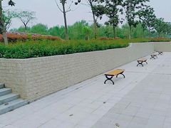 -扬州芍药园(仪征市)