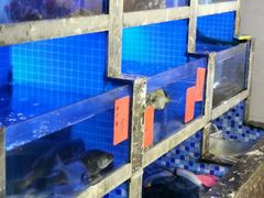 海鲜池-友强·23年特色海鲜大排档(厦门店)