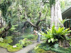 -Chom Cafe and Restaurant