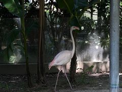 -宁波野生动物园