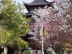 -堤角公园