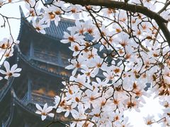 -上海方塔园