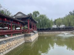 -尚庄度假村·庭台树下·户外烧烤·团建CS·轰趴营地(上庄水库店)