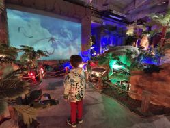 -恐龙探索乐园(磁器口店)