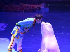 -芜湖新华联大白鲸海洋公园