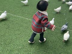 -成都欢乐谷