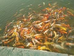 -北戴河圣蓝海洋公园