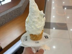 -野人先生Gelato(上海长宁龙之梦店)