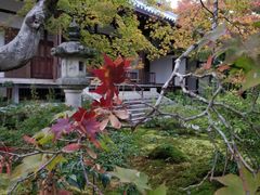 -常寂光寺