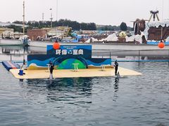 -秦皇岛乐岛海洋王国