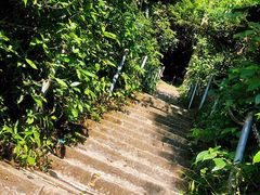 -七仙岭温泉国家森林公园